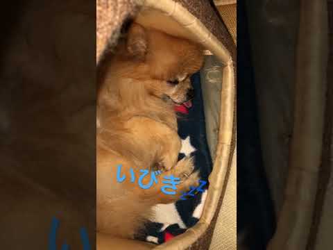 動画 日常 590ページ目 可愛すぎる女の子の動画 動画 日常 590ページ目 可愛すぎる女の子の動画