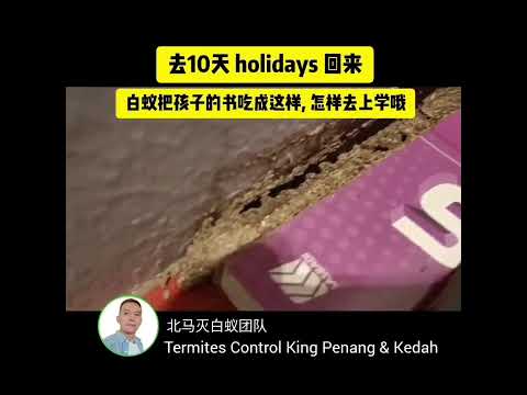 去10天 holidays 回来