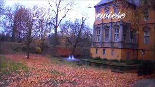 preview picture of video 'Mönchengladbach Schloss Rheydt Kunst im Advent / Pfau klaut Crepes / peacock crepes theft'