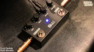 Video thumbnail for ZCAT PEDALS / Hold-Reverb【製品動画】 by digimartnet