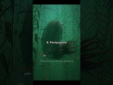 Top 10 most terrifying sea creatures of all time #prehistoric #ocean #marinelife #scary #extinct