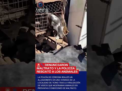 🚨🐾 DENUNCIARON MALTRATO Y LA POLICÍA RESCATÓ A LOS ANIMALES