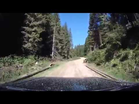 Cazare Tusnad - Cazat.ro