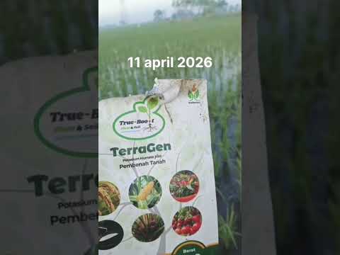 Testimoni dan dokumentasi lapangan