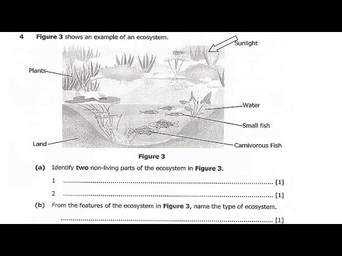 2023 Biology Paper 2 Internal Full Paper Revision | Ace Your  Exams