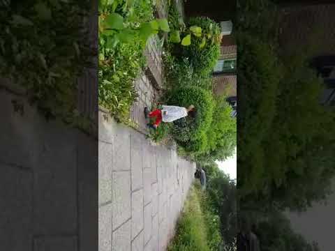 Guljana Sami Deham 04.06.2018