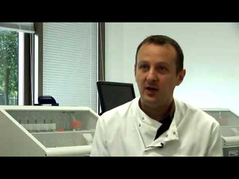 TraDIS technique tackles typhoid - Sanger Institute