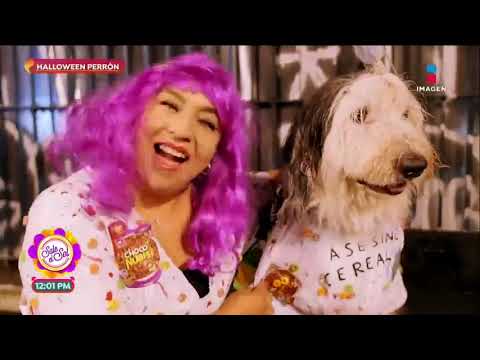 ¡Ana Alicia estuvo en el Halloween de Ruffo, el perro altruista! | Sale el Sol