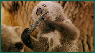 Thumbnail del capítulo