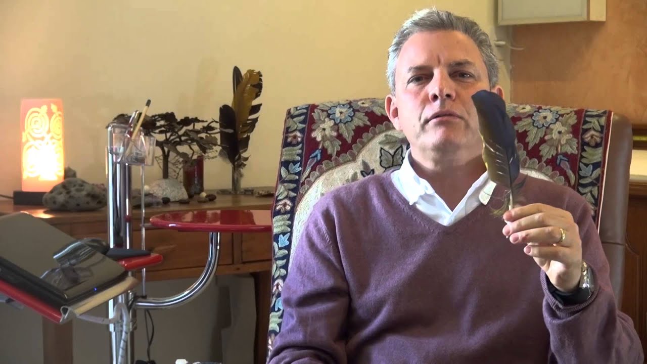 Ricardo Gheman - Fenomenologia de Goethe