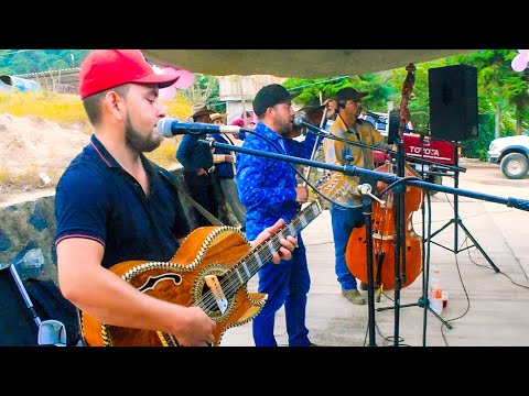 EL CALENTANO - LOS POTRILLOS DE TURICATO