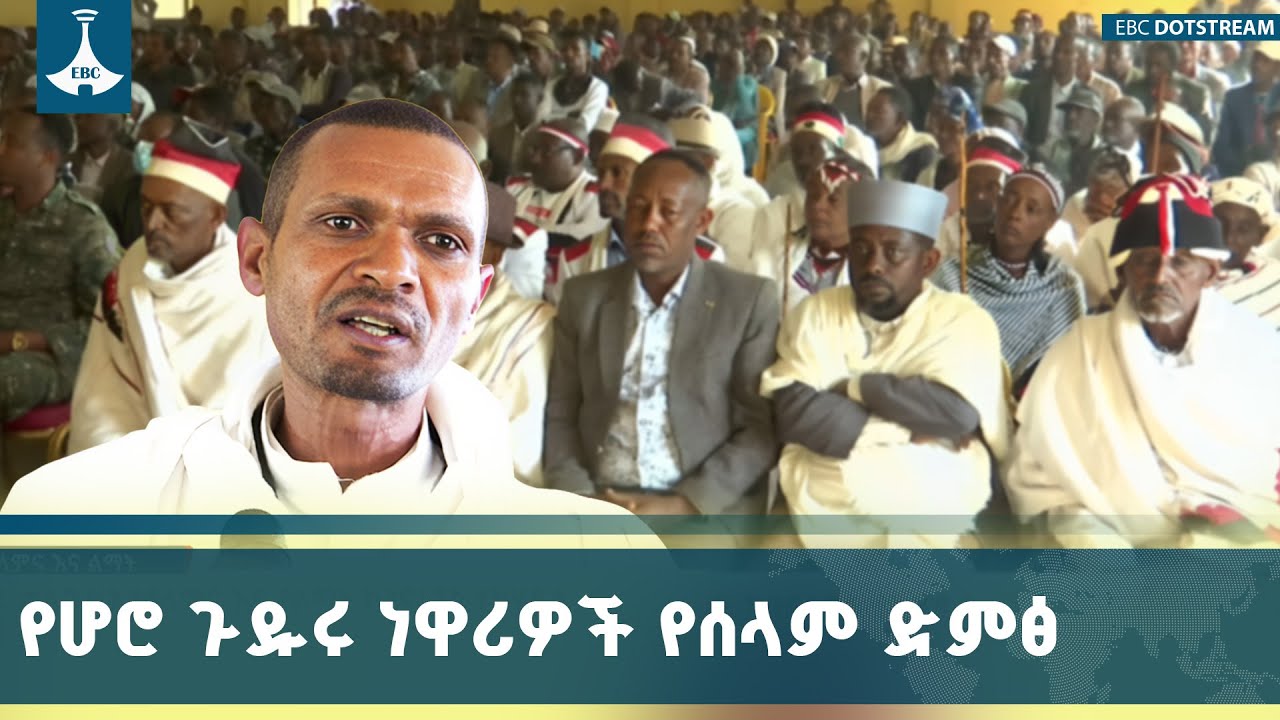 ያሉትን ምቹ ሁኔታዎች በመጠቀም ሰላም እና ልማትን ለማረጋገጥ እንደሚሰሩ የሆሮ ጉዱሩ 