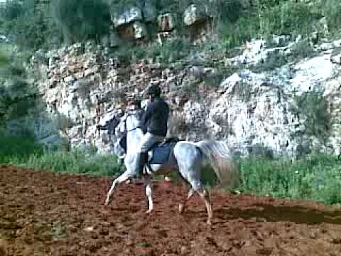 al badawi tribe naji & nader "zaher l remmen , 3oter lleil"