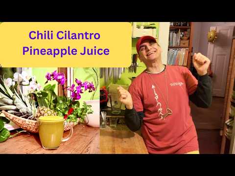 Chili Cilantro Pineapple Juice 🌶️🍍 Healthy Vegan Juice Recipe | Take 3