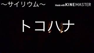 【ヲタ芸練習】　色々打ってみました。（ギルガメッシュ→烈剣→ゲイ・ボルグ改→ロマンス、航の紋章→航の紋章改→真航の紋章→摩耶改二）編集の魔術使って遊んでみた。動画二重、片方透明度上げてます。