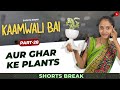 Part 29 घर के नए Plants Kaamwali Bai Shorts Shorts Break
