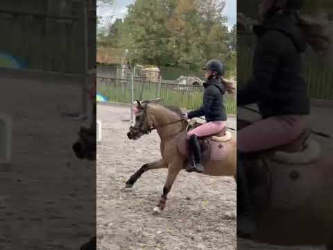 Jumping training at home