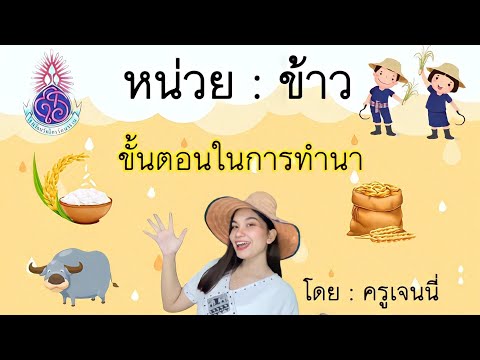ขั้นตอน