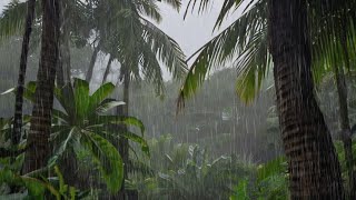 Siente la Paz de la Lluvia en la Aldea y Duerme Sin Esfuerzo 🌧️💤