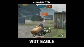 HARRY TDM vs  WDT EAGLE -THE POWER OF 20 FPS AGAIN