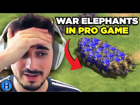 I Went For Elite War Elephants in a Pro Game | AoE2