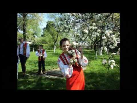 Карпаторусинська співанка _ Цімборська (Carpatho-Rusyn song)
