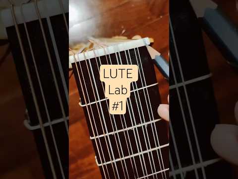Liuto 2.0 🧪 Esperimento con corde per arpa e nuovi tasti acuti in ebano 26 07 2023 #liuto #musica