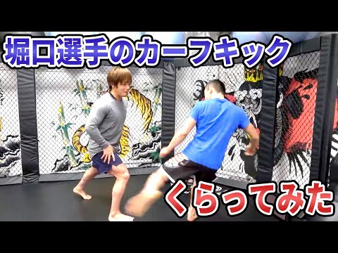 【RIZIN王者】堀口恭二選手のカーフキックくらってみた