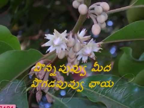 download lagu mp3 mp4 Sri Suryanarayana Meluko Song Free, download lagu Sri Suryanarayana Meluko Song Free gratis, unduh video klip Download Sri Suryanarayana Meluko Song Free Mp3 dan Mp4 Full Gratis