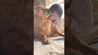 愛犬に飛び交う漢（A man flying around his beloved dog）　#funny #amazing #viral #ニコ生 #fpy #fyp