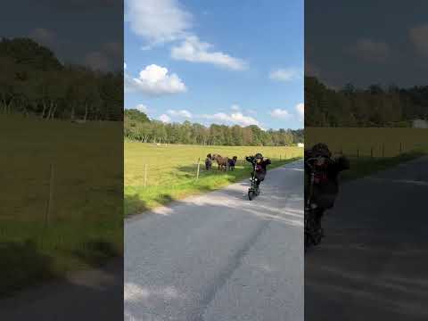 80 km/h flyby on E-WHEELS e7 pro🔥🔥🔥 #escooter #ewheels #flyby #edit #kukirin