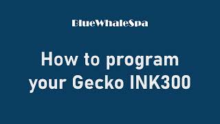 How to program your hot tub | Gecko INK300 | Blue Whale Spa