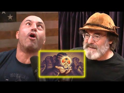 Paul Stamets Explains the Stoned Ape Theory | Joe Rogan Experience