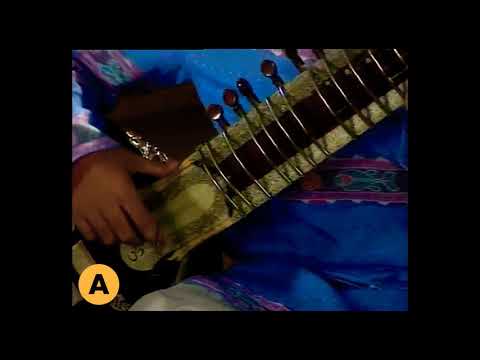Raga Bhupali ~ Niladri Kumar ~ 1993 Rare