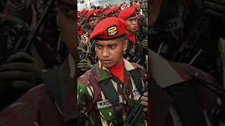 Download lagu #tentara #tentaraindonesia #tni mp3 Download lagu #tentara #tentaraindonesia #tni mp3