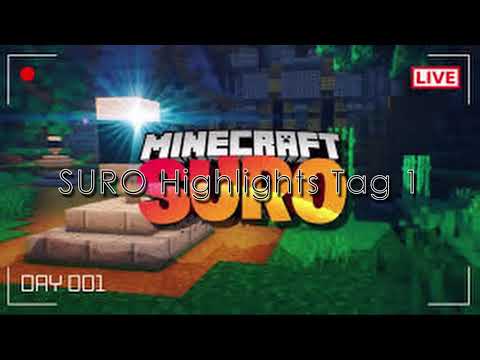 MINECRAFT SURO HIGHLIGHTS - TAG 1