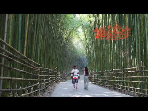 2026《遇見泰安．泉柿原味》