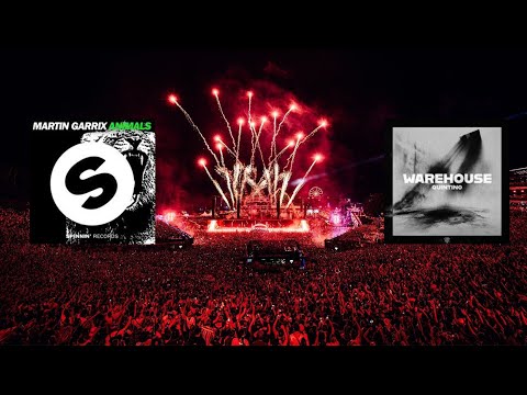 Martin Garrix vs Quintino  - Animals x Warehouse ( Martin Garrix Mashup)