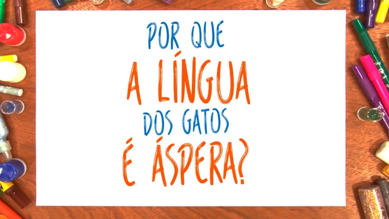 Ciência Explica