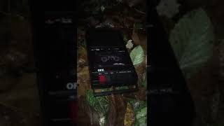 Powerful Man by Phoebe Bridgers (Alex G Cover) Bootleg