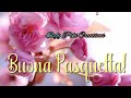 BUONA PASQUETTA