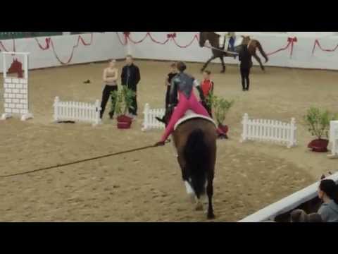 Voltigieren Wildenburg - Anna-Lena Pick&Angelina Heub - L-Einzel - LM Zweibrücken 2014