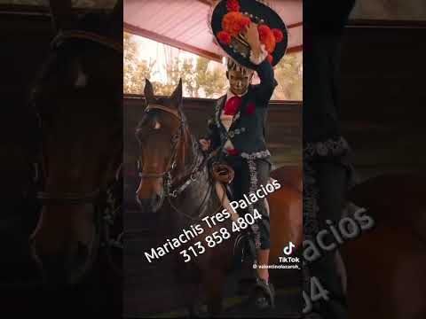 mariachis de bucaramanga tres palacios