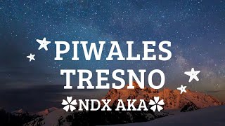Download lagu Piwales tresno (Jancuk koe malah minggat ro liyane ajur atiku sak kabehe) - NDX AKA - lirik lagu mp3