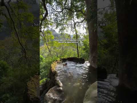 Acarigua-Araure y Agua Blanca, en el municipio San Rafael de Onoto, las Tucuraguas te esperan.