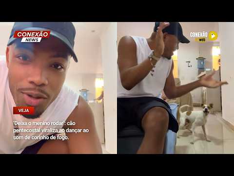 Vídeo: ‘Deixa o menino rodar’: cão pentecostal viraliza ao dançar ao som de corinho de fogo.