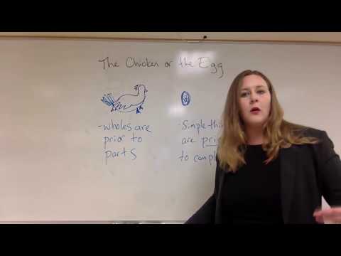 The Chicken or the Egg (a paradox of metaphysics)