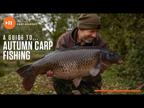 Adam Penning's Guide To Autumn Carp Fishing