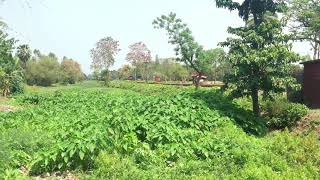 preview picture of video 'Bangladesh Train Spotted From Indo - Bangla Border'