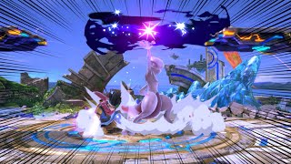 【スマブラSP】ミュウツー窓のポンコツ窓主